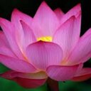 Carol Eagles - @CarolEagles - Twitter