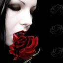 Sonnie Harmon - @chickaluvabee - Twitter