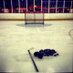 Puck whacker guy (@puckwhackerguy) Twitter profile photo