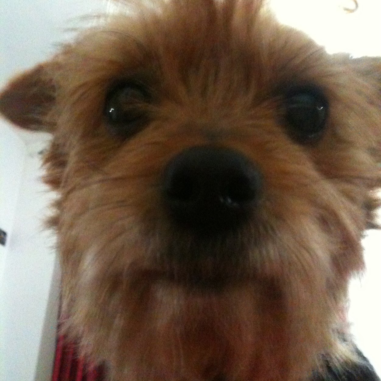 marilena1976's profile picture. 