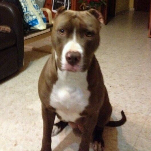 NonoMontana7's profile picture. 