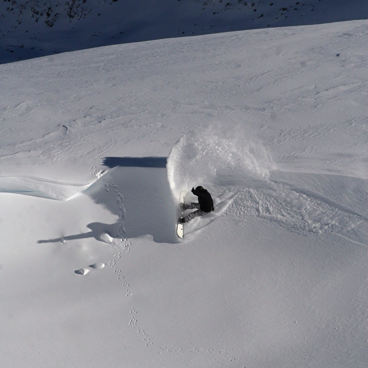 diamondavevans's profile picture. 