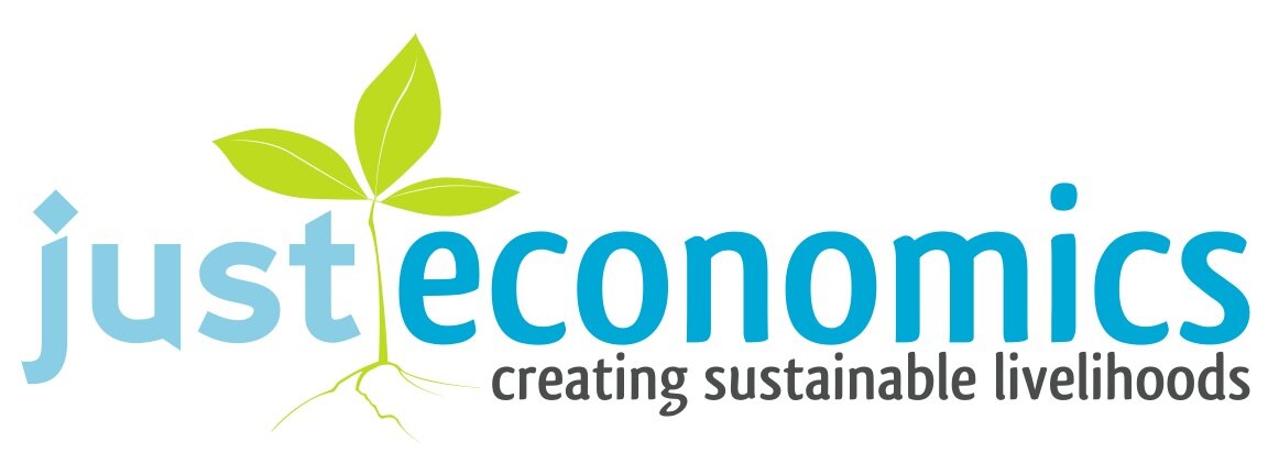 Just Economics is a nonprofit working to educate, advocate, and organize for a just and sustainable local economy that works for all in Western North Carolina.