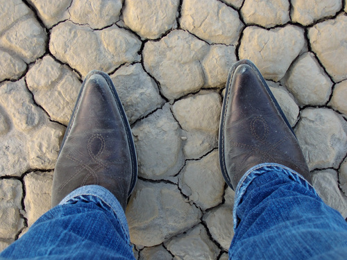 miz_duck's profile picture. Honey, it's all about the shoes!!!