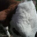 Emily forest - @Emjems1999 - Twitter