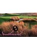 GolfClubAtSouthwind (@clubatsouthwind) Twitter profile photo GolfClubAtSouthwind (@clubatsouthwind) Twitter profile photo