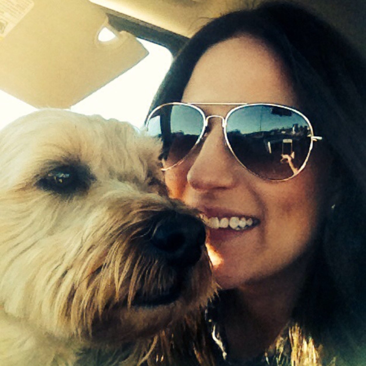 fdoig16's profile picture. 