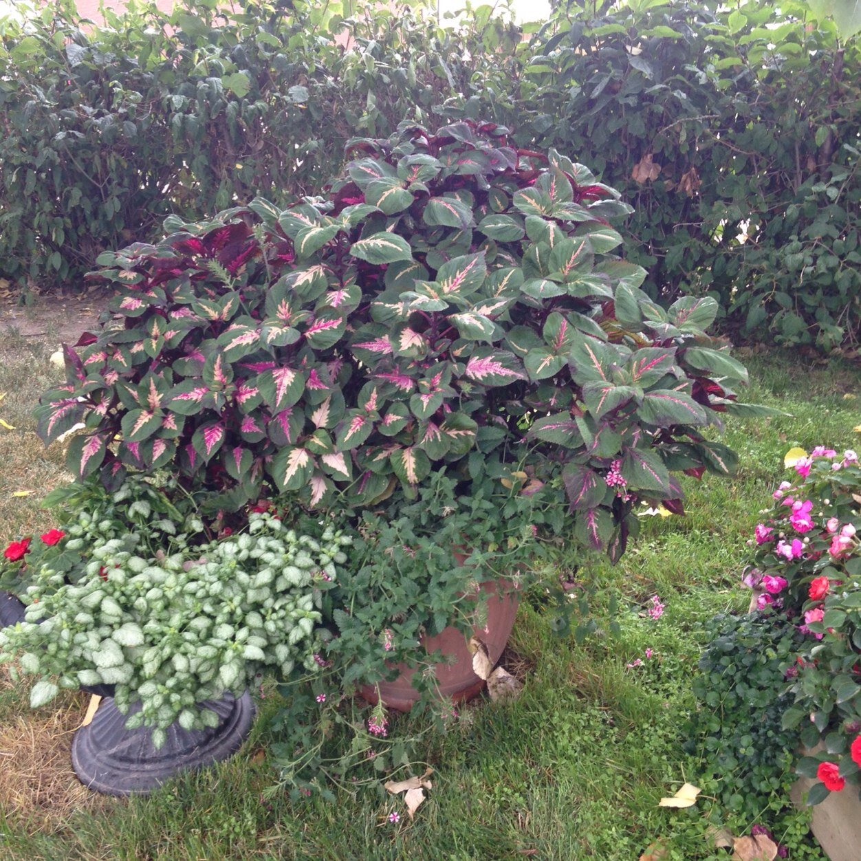 LeonardHofer44's profile picture. 