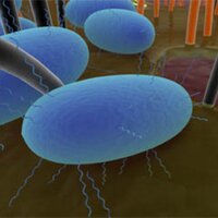 Glasgow Microbiology (@uofg_micro) 's Twitter Profile