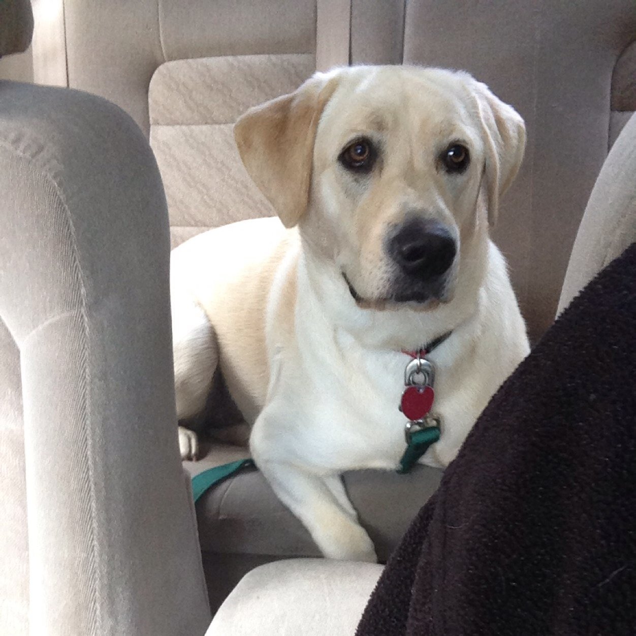 Flynner_K's profile picture. 