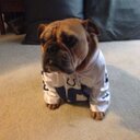 Melissa Scheetz - @melissa_timko - Twitter