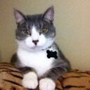 Lisa Mula - @lmula61 - Twitter