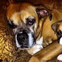 haley cagle - @CagleHaley - Twitter