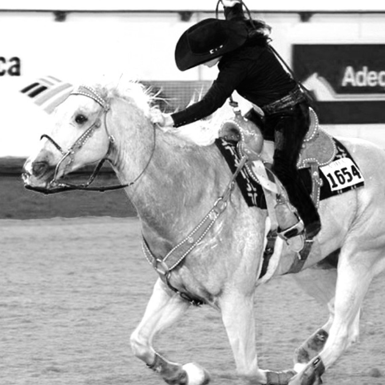 If you want it, go after it with your whole heart. #Rodeo #Agri #Fishing #Country #Merica #WPS ❤ #TakenByTheBest