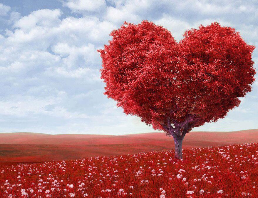 Ericcio2014's profile picture. 