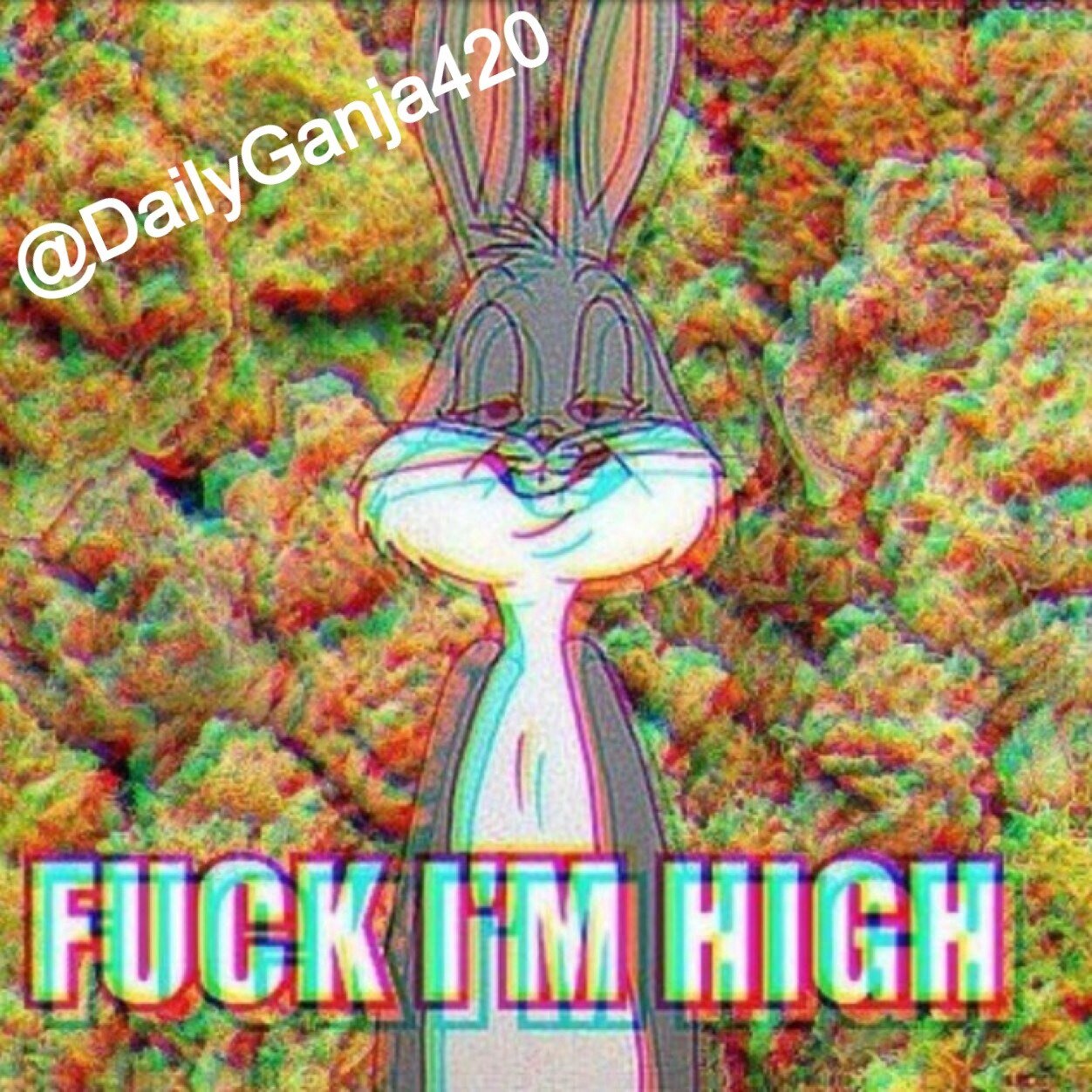 Follow for a dope newsfeed. All the best ganja pictures and stoner humor. Peace, Love, and Happy Smoking. #highlife (DM or @ me in your weed pics for shoutout)