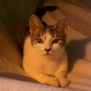 lawana smith - @lawana1973 - Twitter