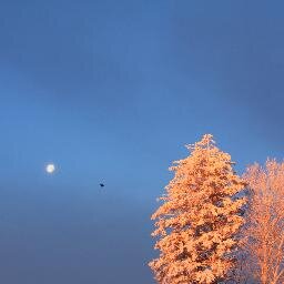 Love those lucky morning sites