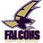 TCFalconsTrack's profile image