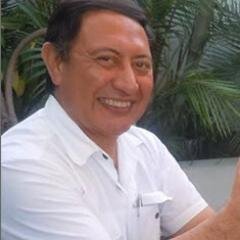 Consultor en Informática, Analista de Sistemas, Auditor especialista en gestión de proyectos financiados por la Cooperación Técnica Internacional.