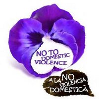 NO2DOMESTICVIOLENCE (@no2homeviolence) Twitter profile photo