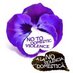NO2DOMESTICVIOLENCE (@no2homeviolence) Twitter profile photo