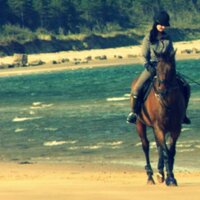 Zoe Ross (@zoeross123) 's Twitter Profile