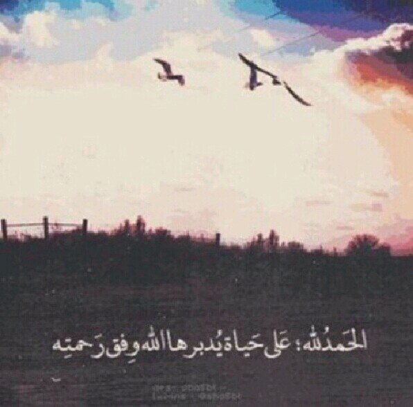 اللهم صل وسلم على نبينا محمد*