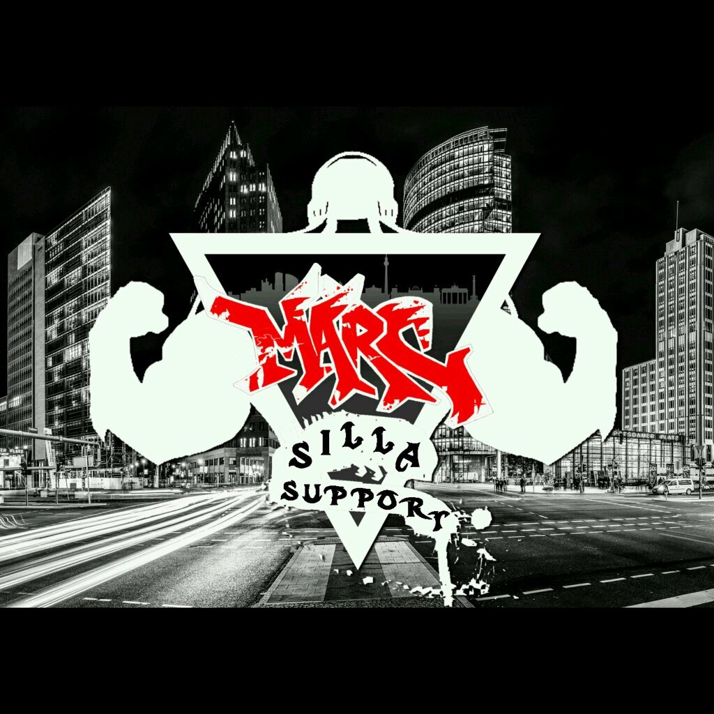 SillaSupporter's profile picture. Silla Support