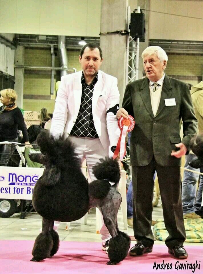 M_Gavia's profile picture. chi mi conosce sa,chi non mi conosce mi giudica,chi pensa di sapere tutto di me si illude!