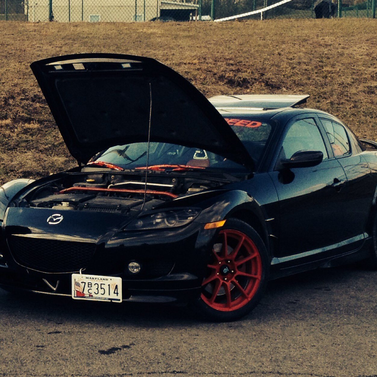 mtbarton1's profile picture. #Baseball #Football #O's #LJames #teamSteelers