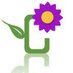 Central Sq Florist (@csflorist) Twitter profile photo