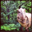 Anne Witte-Russo - @gamingwidow449 - Twitter