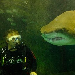 Dunc_Hill's profile picture. 