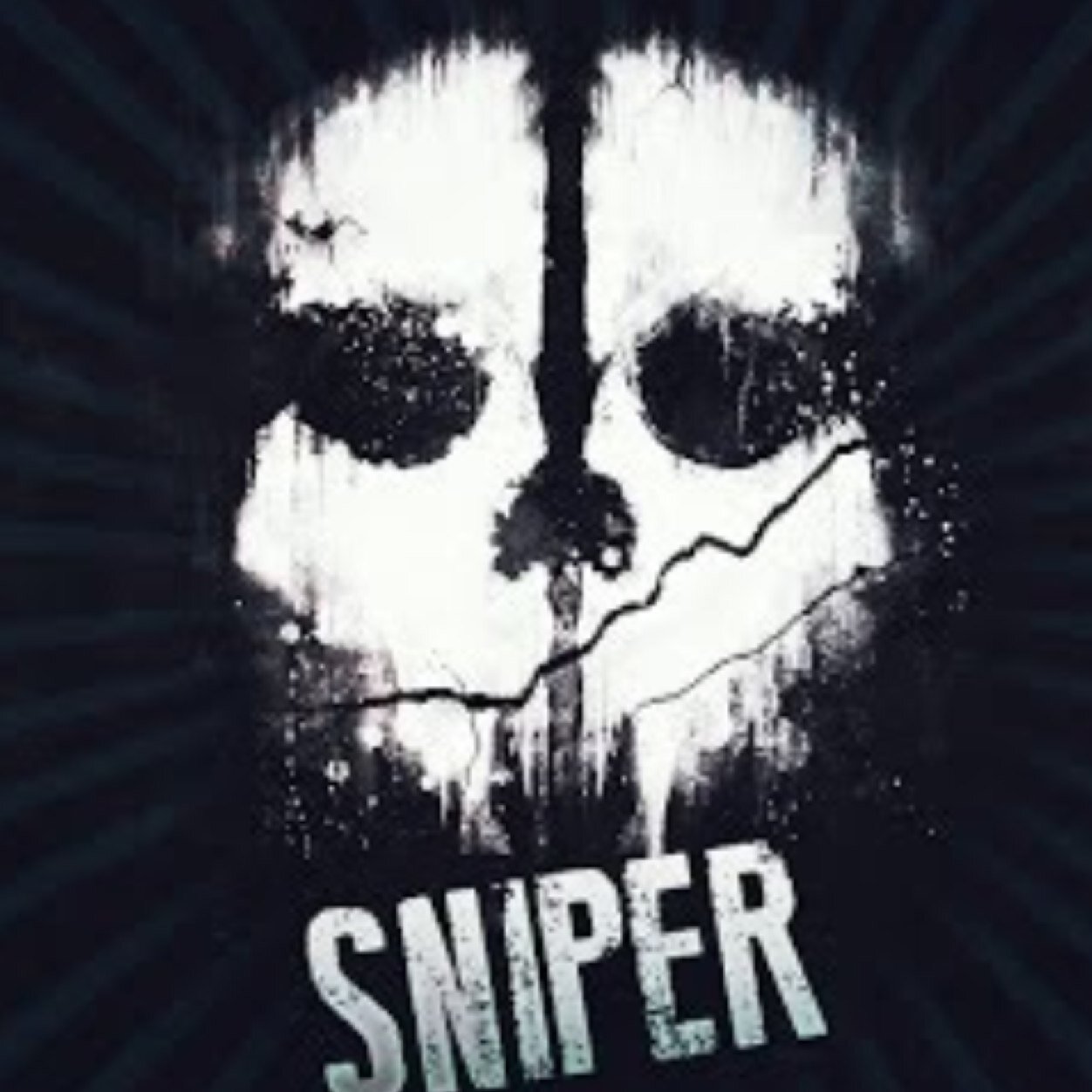 SnipeForDayz (SFDz) and TwerkingDolphins (Twrk) now have a twitter account and this is it. We do sniping and other things that we miserably fail at on Cod games