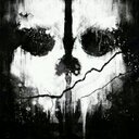 Elliot Bird - @BirdMan728 - Twitter