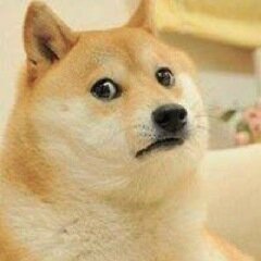 br_febr3's profile picture. 