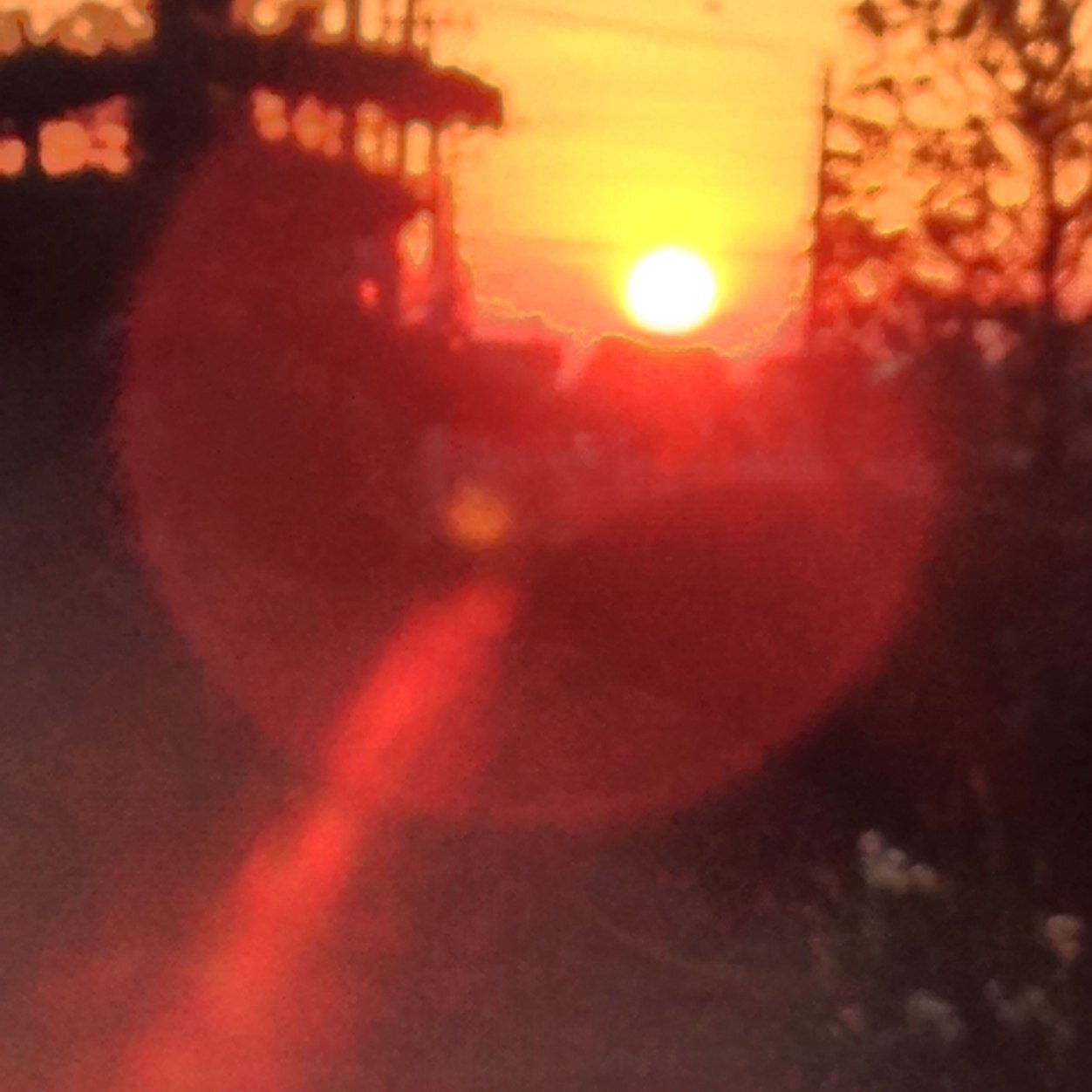 erika111oneness's profile picture. 