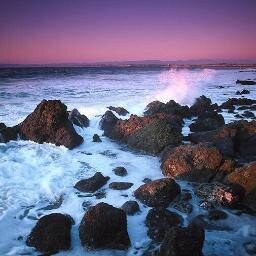 MilaAndini4's profile picture. 