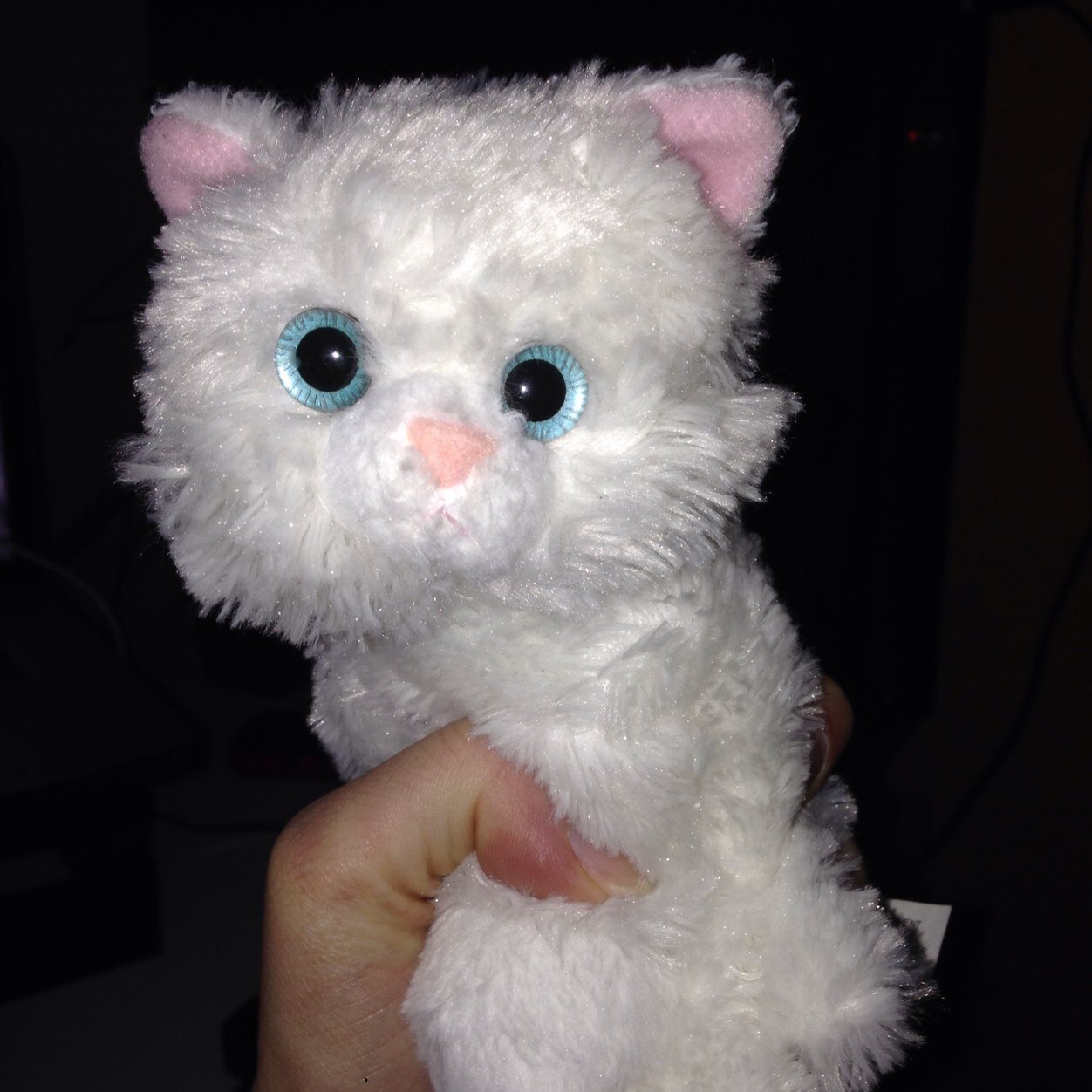 Hey my name is Sparkles. Im the realest cat out there. Fck what ya heard. #SparklesWall #followback