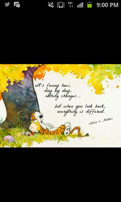 If you need anything, DM me. Ill always be here to listen and help. You may think no one cares but I do.