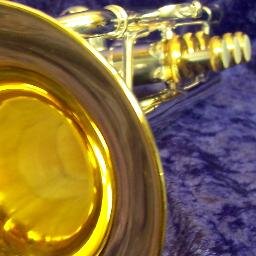 I play trumpet and sleep.