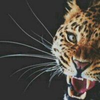 Mark Coolper (@__dhay__) 's Twitter Profile