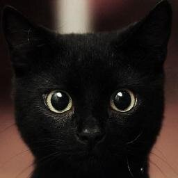 ******** We don't submit to terror. ******** *********** We make the terror. ***********