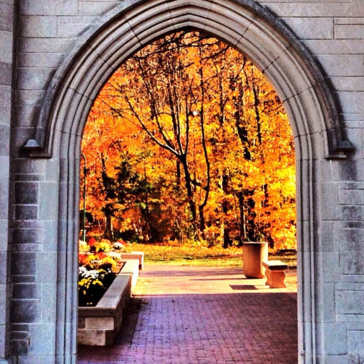 aoverbey's profile picture. 