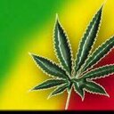 Fernando avendaño - @Nando101Avendao - Twitter