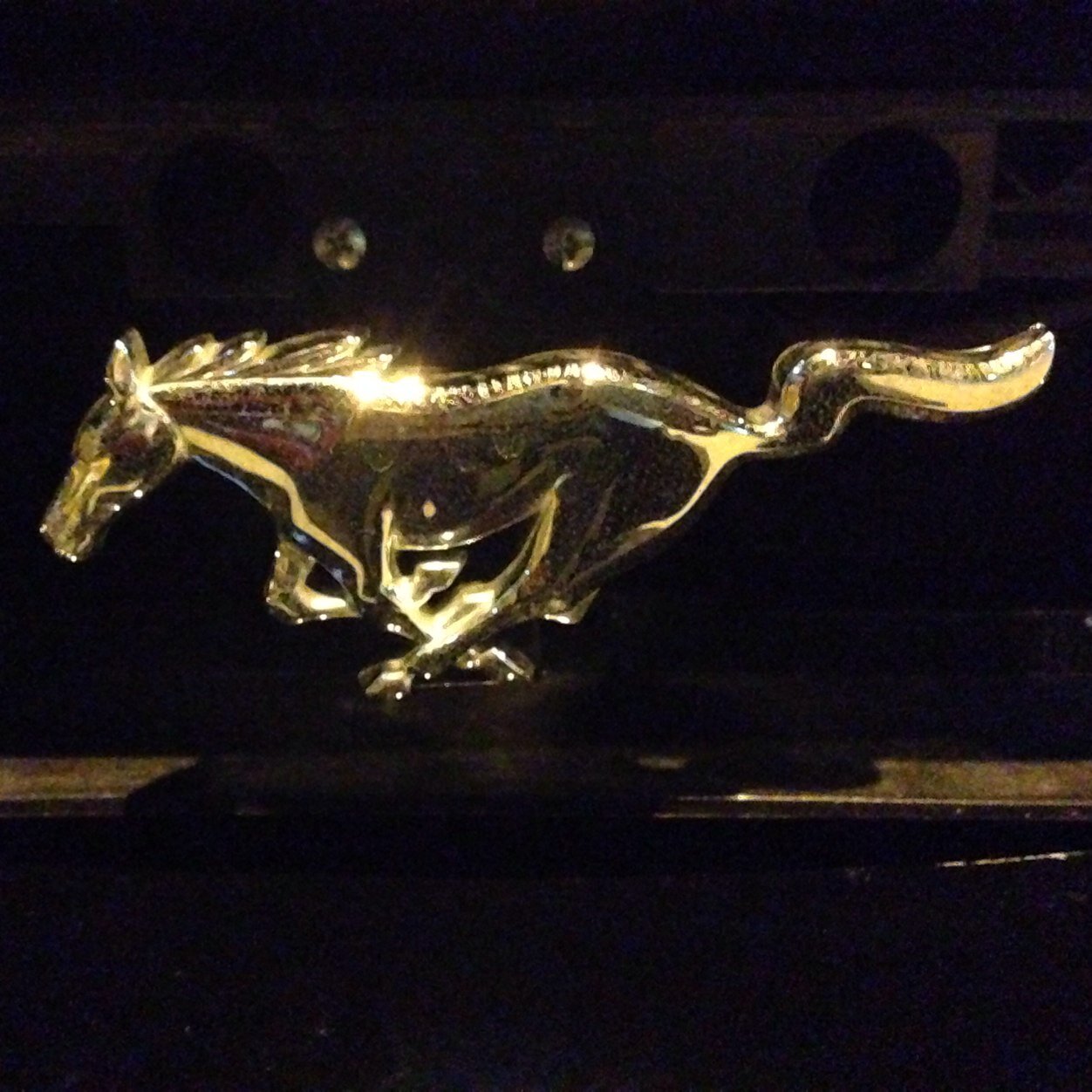 Club Ford Mustang Panamá es el primer club en todo Panamá que reúne a los amantes del Mustang en todas sus ediciones y modelos. CFMP