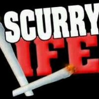 SCURRY LIFE (@scurrylife) 's Twitter Profile