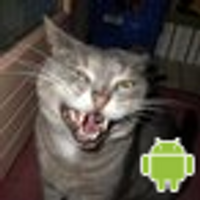 David (Bugs Killer) (@dfgweb) 's Twitter Profile