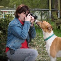 Jill Clogston - @45MPHK9 Twitter Profile Photo